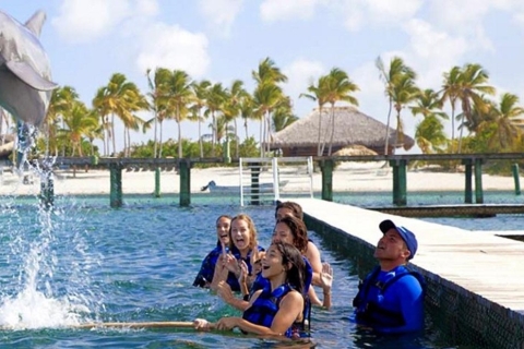 Punta Cana: Experiencia con delfines en el marPunta Cana: Encuentro Dolphin Experience