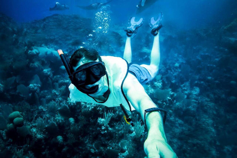 Nusa Penida Snorkeling & Scenic Island Tour from Bali Pick up from accommodation and port in nusa penida.