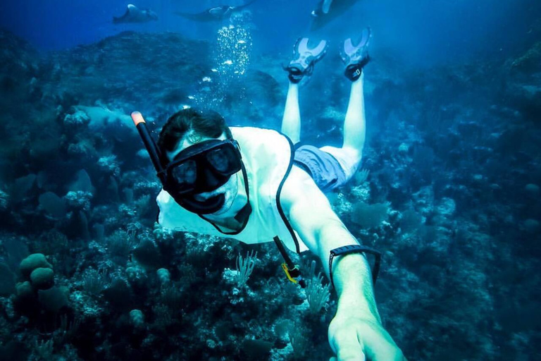 Nusa Penida Snorkeling & Scenic Island Tour from Bali Pick up from accommodation and port in nusa penida.