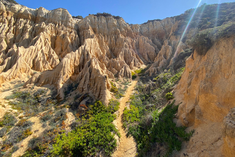 De Lisboa al Algarve; Traslado guiado con extra ¡Guau!