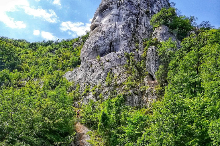 Eselnita: Boat Cruise on the Danube River