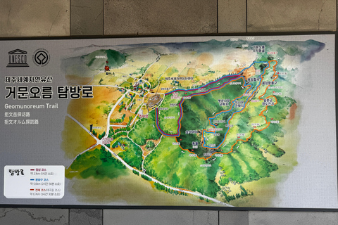 Jeju Geumun-oreum Volcanic Crater Hiking