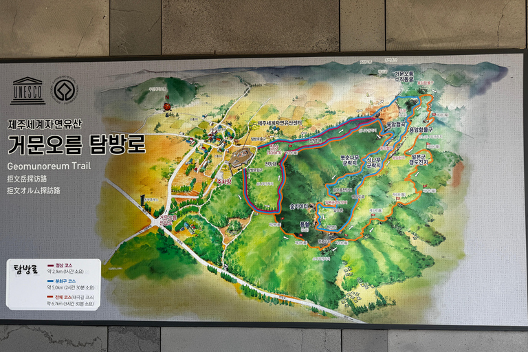 Jeju Geumun-oreum Volcanic Crater Hiking