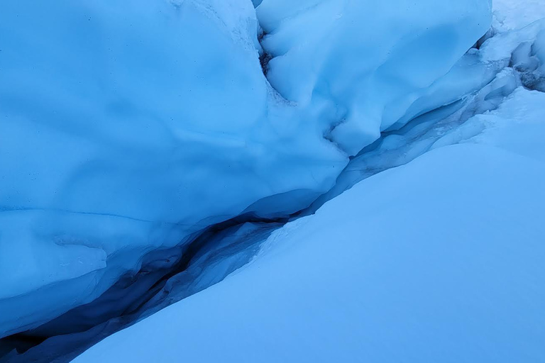 Anchorage: Wycieczka całodniowa i wyprawa na lodowiec Matanuska