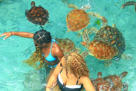 Zanzibar : forêt de Jozani, grotte de Salaam et restaurant The RockTransfert depuis n'importe quel endroit à Zanzibar