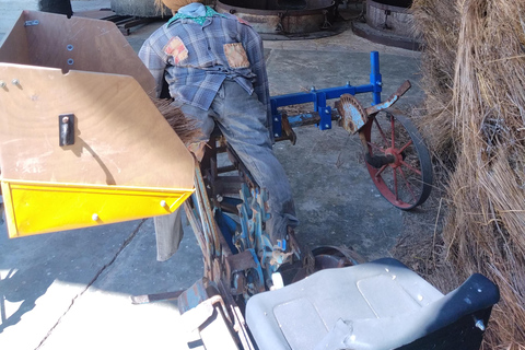 departing from Avignon, Classic lavender tour au depart d'Avignon, Classic lavender tour