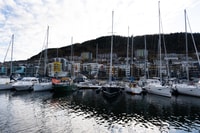 Bergen, visite guidée en minibus avec arrêts de photos et visite de Bryggen - Hizvo