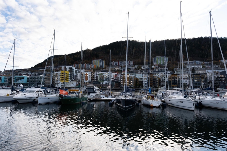 Bergen: wycieczka minibusem po najbardziej malowniczych miejscach w mieście