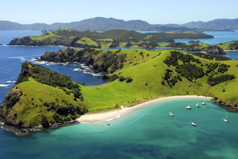 Vanuit Auckland: Dagvullende tour naar de Bay of Islands