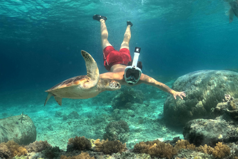 Mirissa: Night Snorkeling with Sea Turtles & Coral Reefs Night Snorkeling