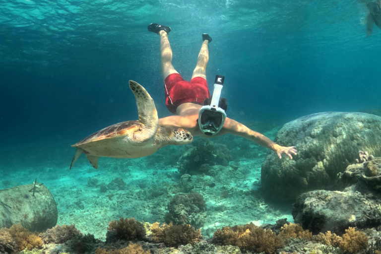 Mirissa: Night Snorkeling with Sea Turtles & Coral Reefs Night Snorkeling