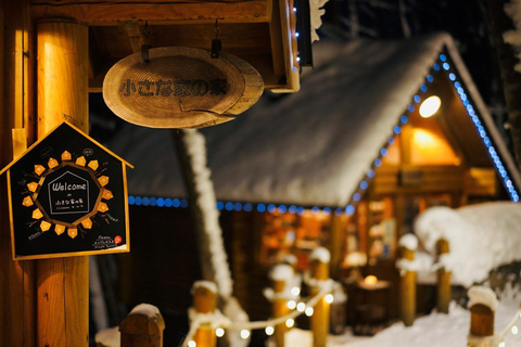 Sapporo: Asahiyama Zoo, Blue Pond & Ningle Terrace Tour