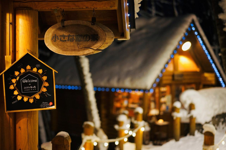 Sapporo: Asahiyama Zoo, Blue Pond & Ningle Terrace Tour