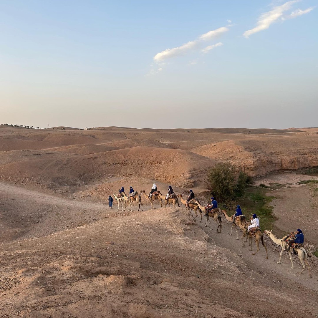 Depuis Marrakech : Coucher de soleil dans le désert d'Agafay, promenade à dos de chameau et Dinne