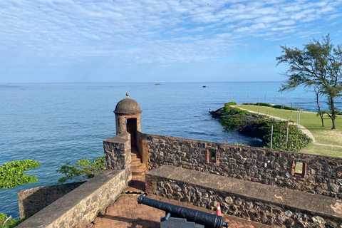 De essentie van Puerto Plata: historische en culturele stadstourPuerto Plata 360: Bezoek het barnsteenmuseum, het centrum van de stad.