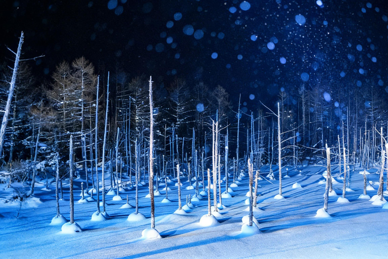 Hokkaido Winter Shikisai no Oka, Blue Pond (Dec.10 - Mar.10) 10:40 am meet at JR Sapporo Station North exit