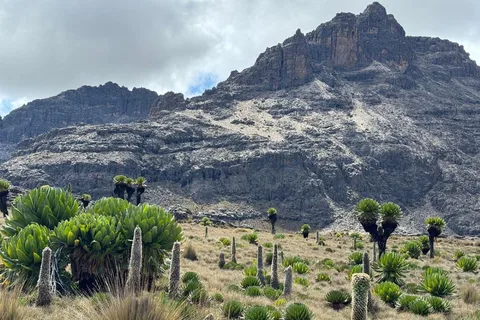 From Nairobi: Mount Kenya Hike Day Trip