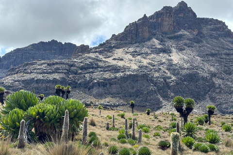 Da Nairobi: Escursione di un giorno sul Monte KenyaGita di un giorno sul Monte Kenya