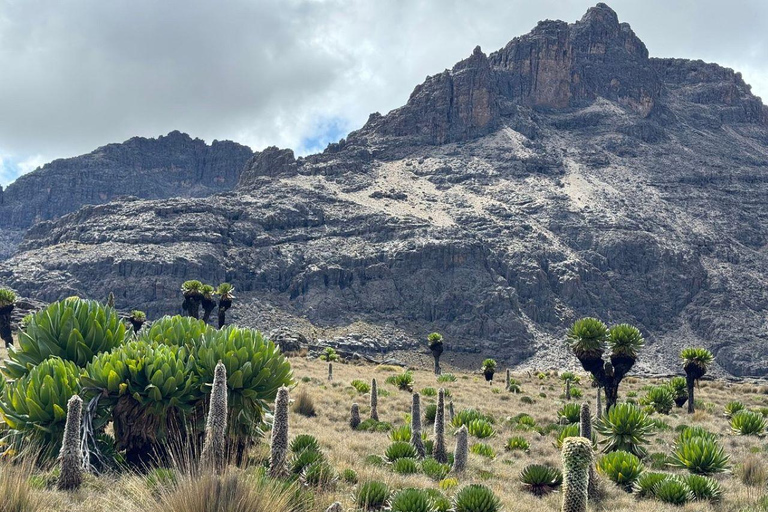 Da Nairobi: Escursione di un giorno sul Monte KenyaGita di un giorno sul Monte Kenya