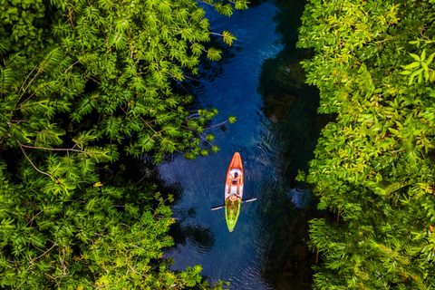 Krabi : Aventure en kayak dans la forêt de mangroves d&#039;Ao Thalane