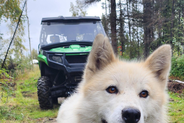 Fairbanks Aventura estival con perros de trineo en AlaskaDuración del viaje