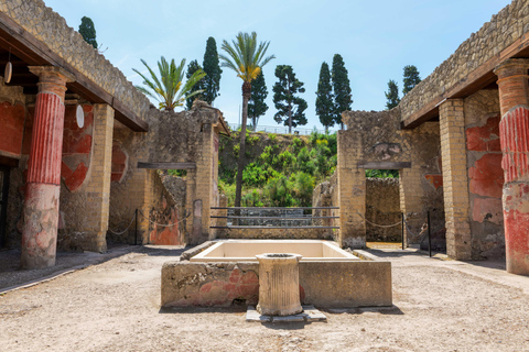 Discover Herculaneum: Guided tour in English of the ancient Roman city Guided tour in English with return train ticket from Naples