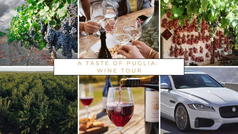 Wine tasting experience in the Apulian countryside!