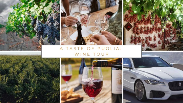 Visit Wine tasting experience in the Apulian countryside! in Lecce