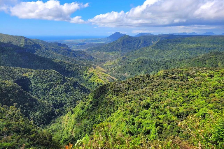 Mauritius: Dolphin Swim, Lunch & South Island Discovery Tour