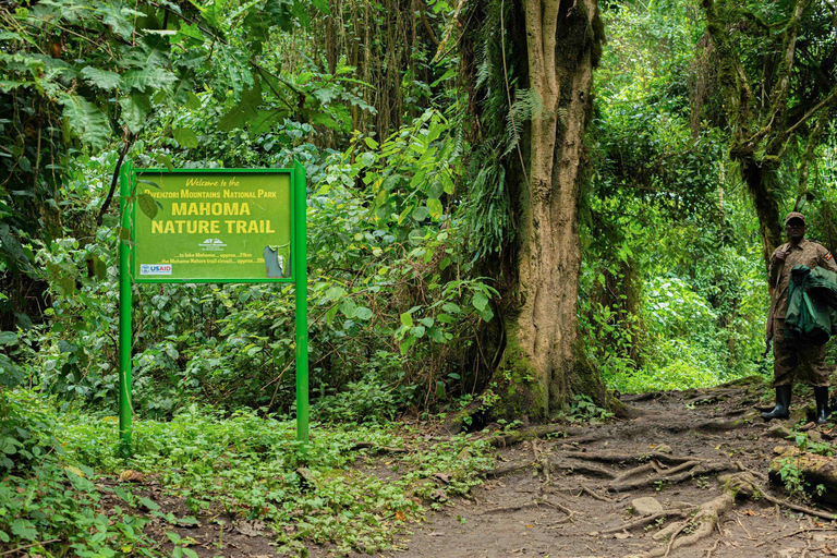 From Kampala: 6-Day Gorillas, Chimpanzees and Rwenzori Tour
