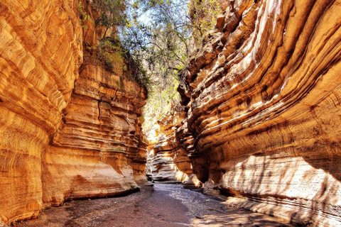 Desde Nairobi: Excursión al Parque Nacional de Hell's Gate y al Lago Naivasha