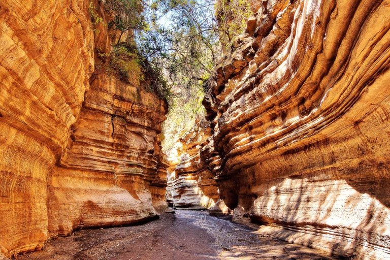 Vanuit Nairobi: Tocht door Hell's Gate National Park &amp; Lake Naivasha