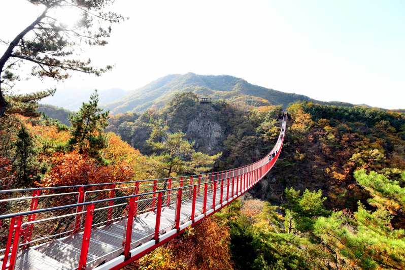 From Seoul: DMZ 3rd Tunnel and Red Suspension Bridge Tour