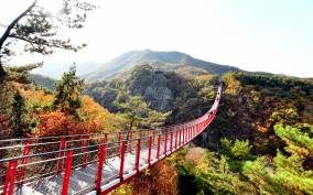 From Seoul: DMZ 3rd Tunnel and Suspension Bridge Tour