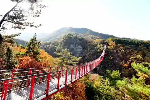 From Seoul: DMZ Tour with Optional Suspension Bridge
