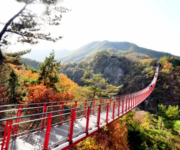 From Seoul: DMZ Tour with Optional Suspension Bridge