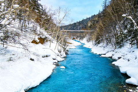 Sapporo 2-Month Special:Asahiyama Zoo & Snowy Landmarks Tour 8:10 am meet at JR Sapporo Station North exit