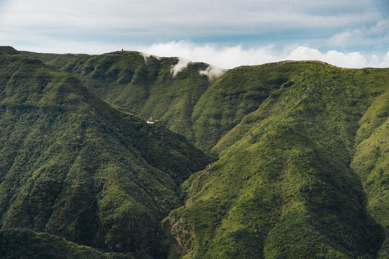 Funchal: Vereda do Fanal PR13 Hiking with Transfer & Guide
