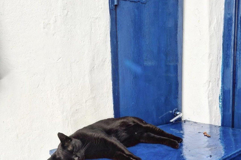 Cruzeiro guiado em Mykonos com um jipe exclusivo para passageiros: Visita obrigatória em 4h