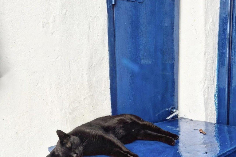 Cruzeiro guiado em Mykonos com um jipe exclusivo para passageiros: Visita obrigatória em 4h