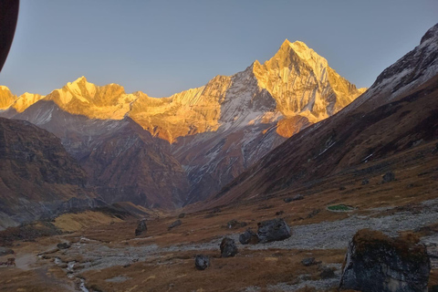 From Pokhara: A 7-Day Trek to the Heart of the Himalayas