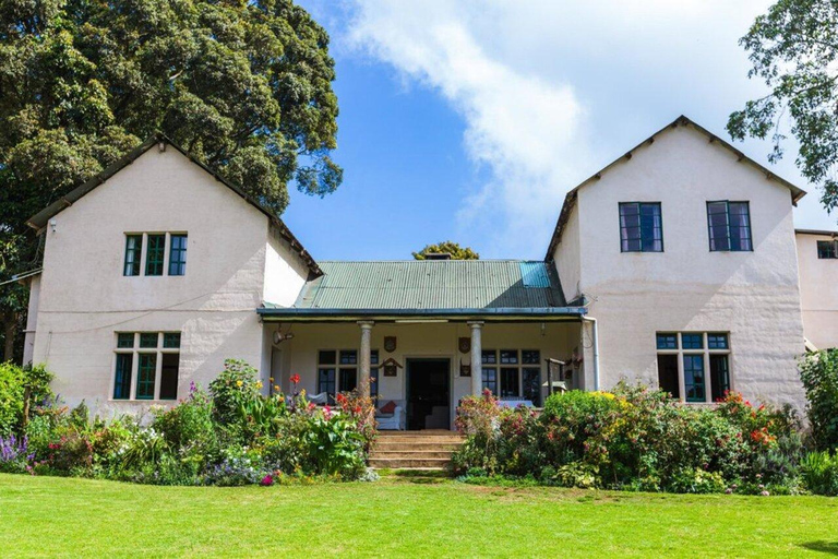 Nairobi: Tea Farm Tour with Forest Walk and Lunch