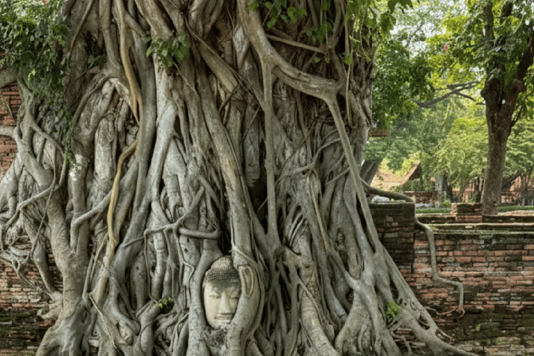 曼谷：大城府寺庙、水上市场和博物馆之旅
