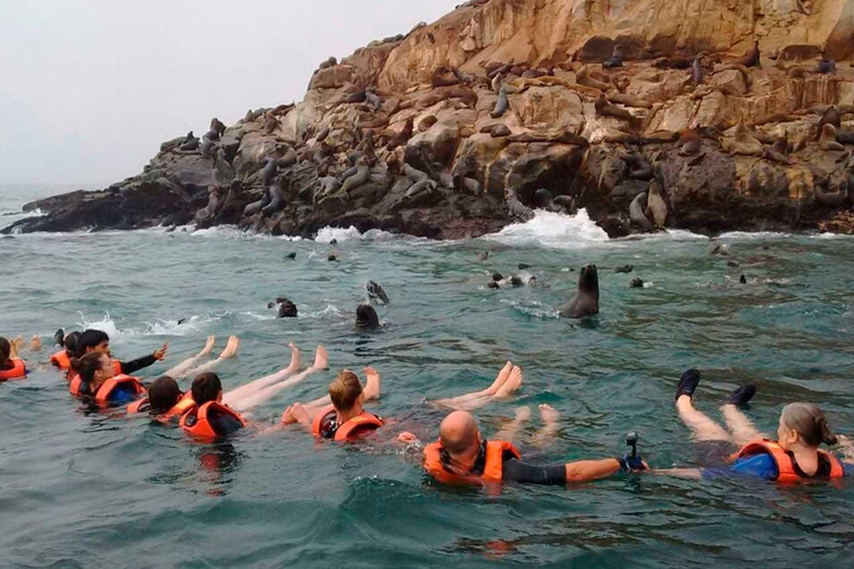 Desde Lima: Islas Palomino