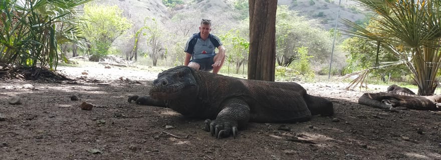 Bali : Excursion guidée d'une journée sur l'île de Komodo avec déjeuner et collations
