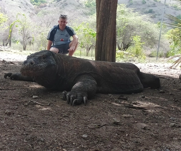 Bali: Komodo Island Guided Day Trip with Lunch and Snacks