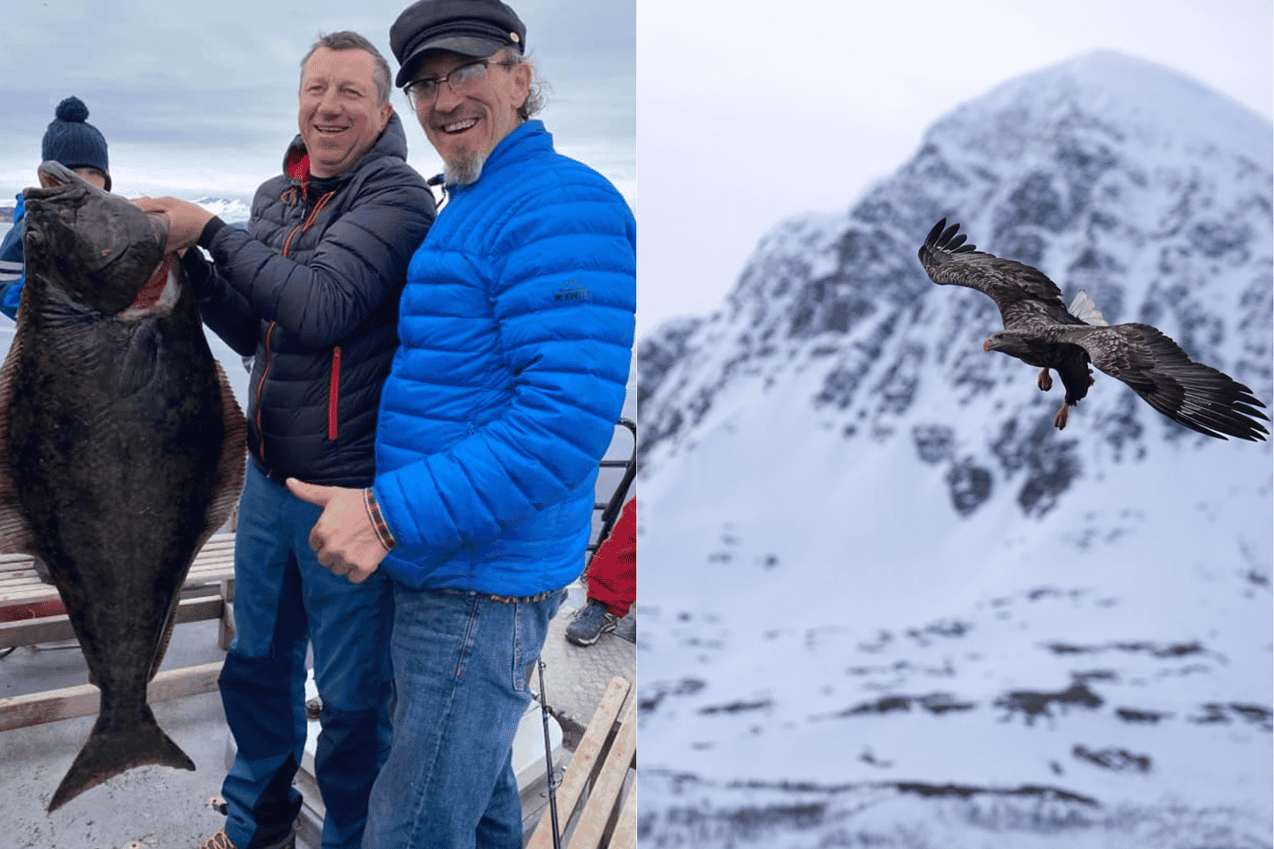Pêche polaire de 3 heures depuis Tromsø