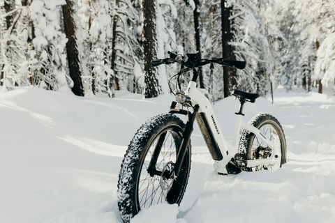 Electric Fat Biking Adventure in Banff