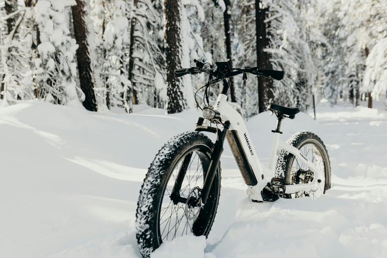 Aventura en Bicicleta de Grasa Eléctrica en Banff