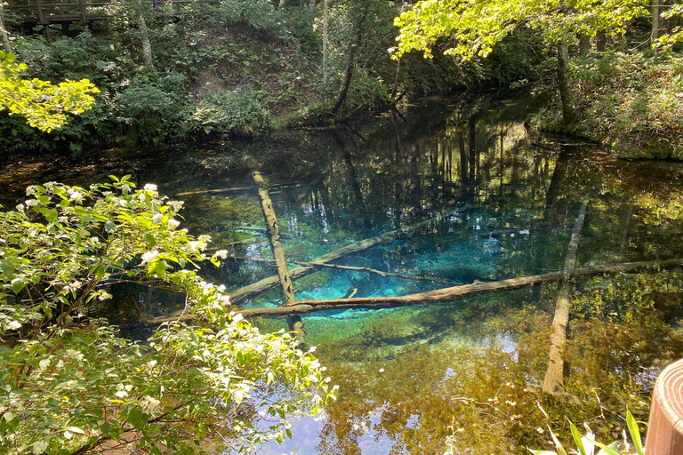 Shiretoko & Kiyosato: Five Lakes Full-Day Nature Tour